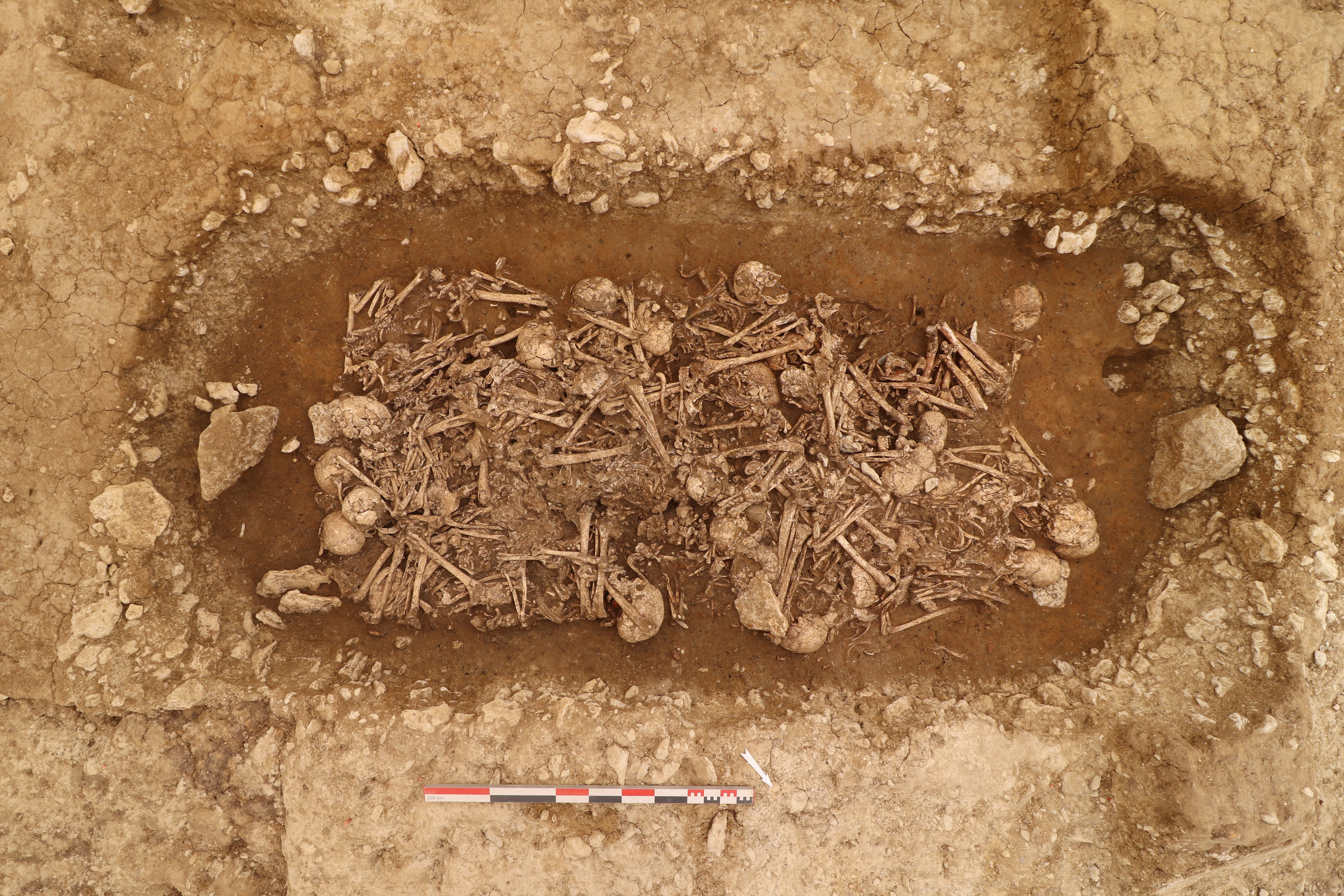 В 19 веке в колумбии археологи. Раскопки массовых захоронений. Погребения эпохи неолита.