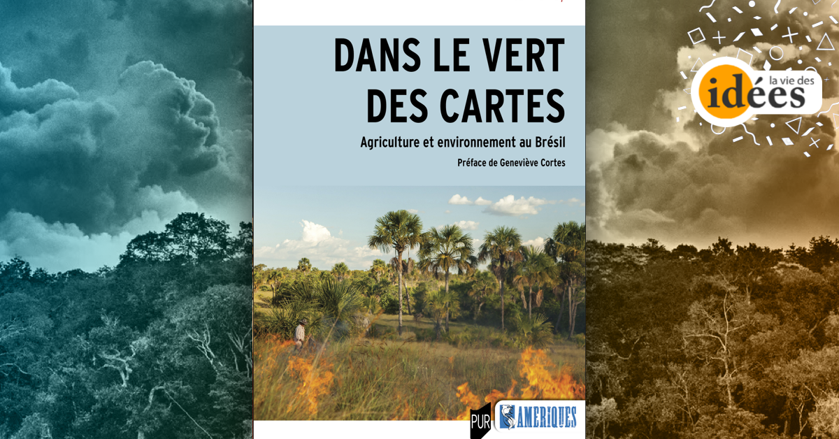Le Brésil des marges